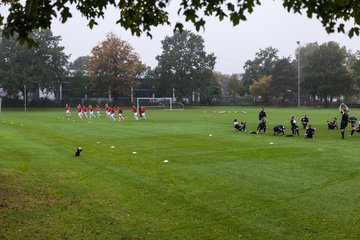 Bild 11 - Frauen SV Henstedt Ulzburg - FSV Gtersloh : Ergebnis: 2:5